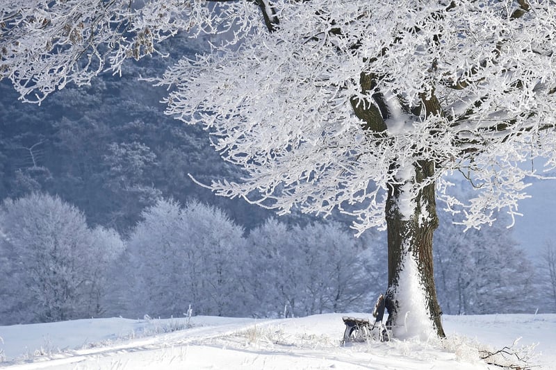 Winter Wonderland Wedding